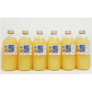 【酸味と甘みの絶妙なバランス】りんごジュース 335ml×6本セット サンふじ 王林 りんごジュース