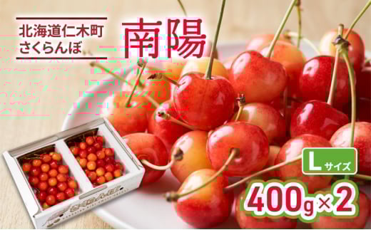 [先行受付] 北海道 仁木町産 さくらんぼ 南陽 400g×2P Lサイズ サクランボ 果物 くだもの フルーツ チェリー [林果樹園]