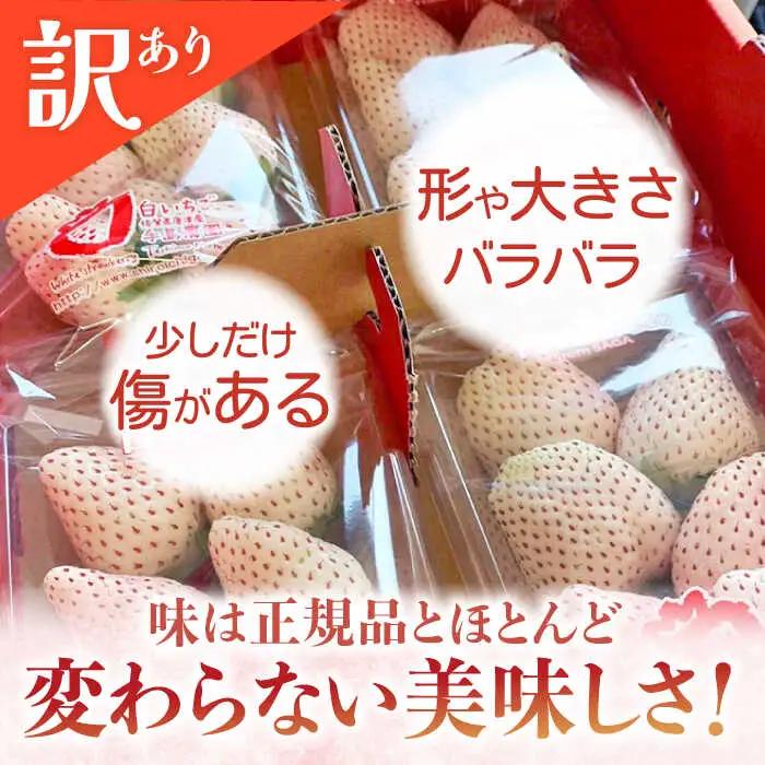 【2027年1月以降順次発送】白い宝石（訳あり）約520g（約130g×4パック） / 佐賀県 / 手島農園 [41ABAB004]