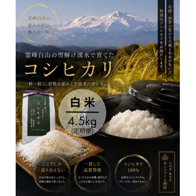 ふるさと納税 能美市 【毎月定期便】コシヒカリ米4.5kg精米　全6回