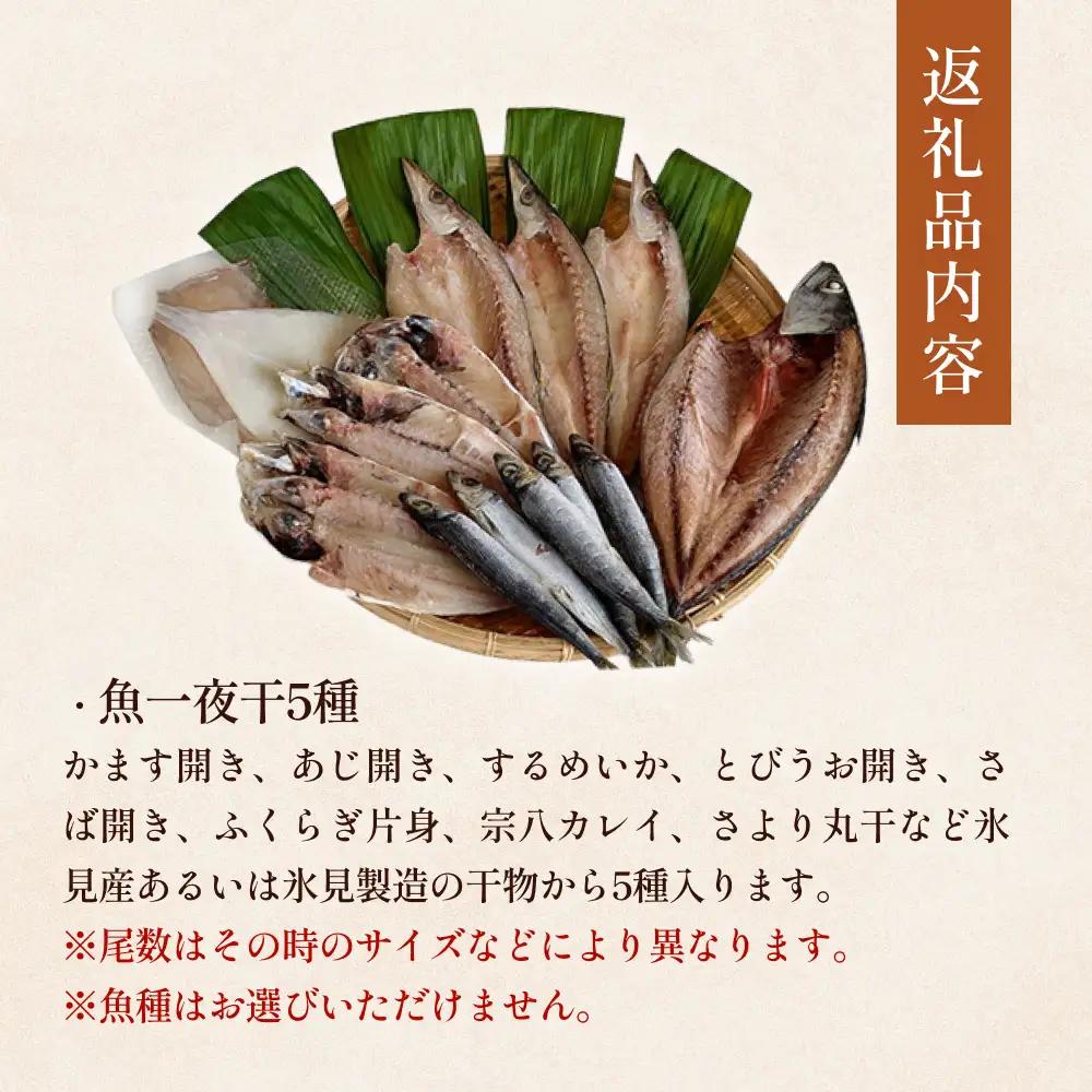 【氷見堀与】 おすすめ一夜干5種セット 〈冷凍〉｜ 一夜干し 詰め合わせ