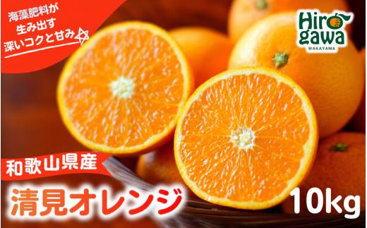 和歌山県の清見オレンジ 10kg 柑橘【aii009-r-10A】