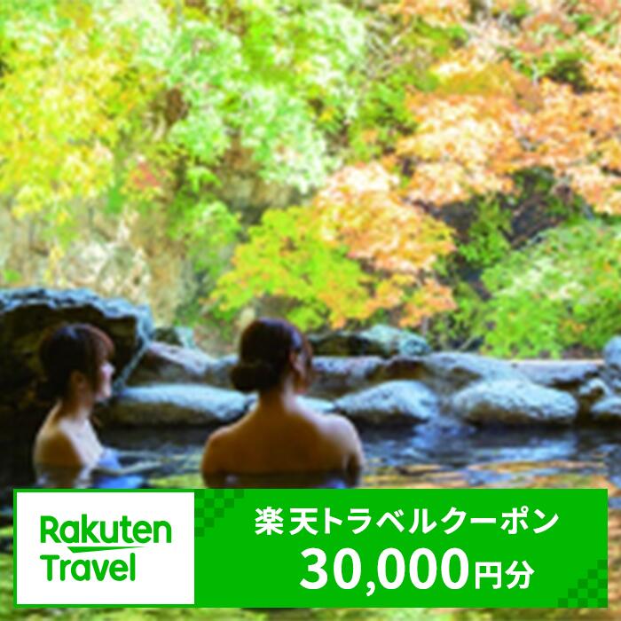 【ふるさと納税】新潟県湯沢町の対象施設で使える楽天トラベルクーポン 寄附金額100,000円【楽天】越後湯沢 新潟 南魚沼 旅行券 宿泊券 旅行 トラベル クーポン チケット 金券 ホテル 旅館 リゾート 国内旅行 宿泊 観光 スキー スノーボード 苗場 全国旅行支援