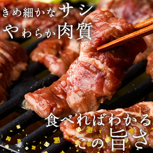 ＜定期便・全12回 (毎月の発送)＞塩味 牛ハラミ(総量7.2kg) 定期便 小分け 牛肉 肉 ハラミ 牛はらみ 味付け 焼肉 塩 BBQ 冷凍 大分県 佐伯市【DH326】【ネクサ】
