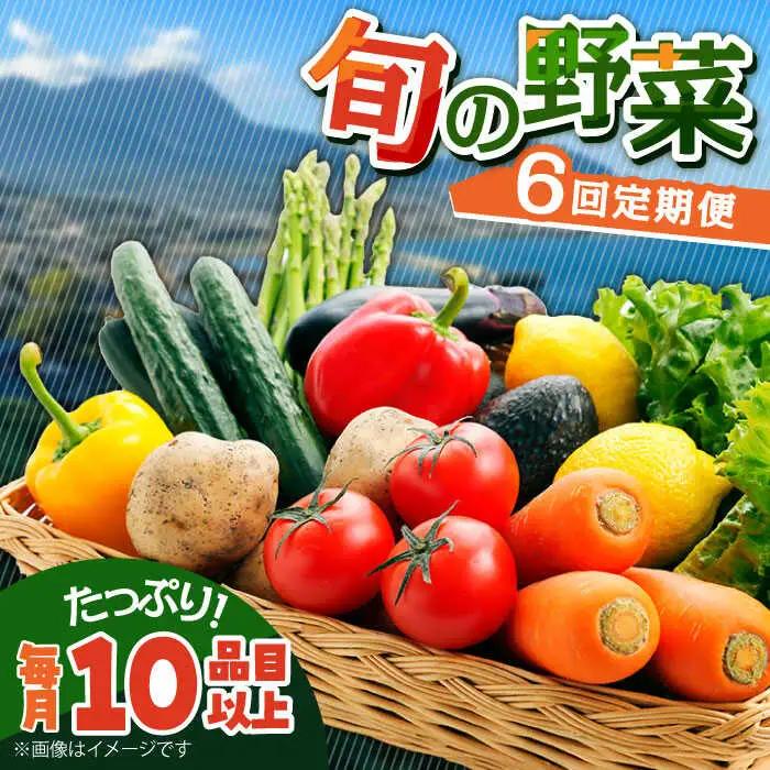 【6回定期便】野菜定期便 10品目以上 野菜定期便 / ミナサポ  [SCW046]