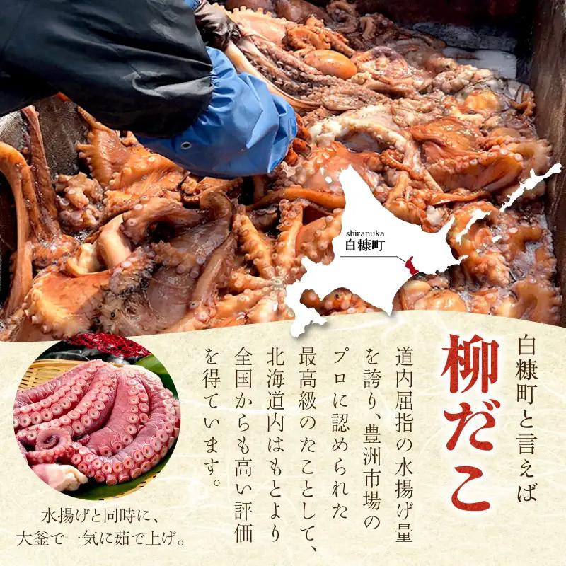 「しらぬか産柳だこ」とBBQに「たこ串(塩味・味噌味・醤油味)」のセット_I024-0137