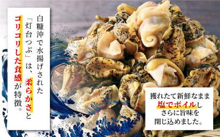 白糠煮つぶ とれたてくん 500g × 3個 つぶ貝 灯台つぶ 塩ゆで ふるさと納税 北海道 白糠町_I018-1132-90DAYS