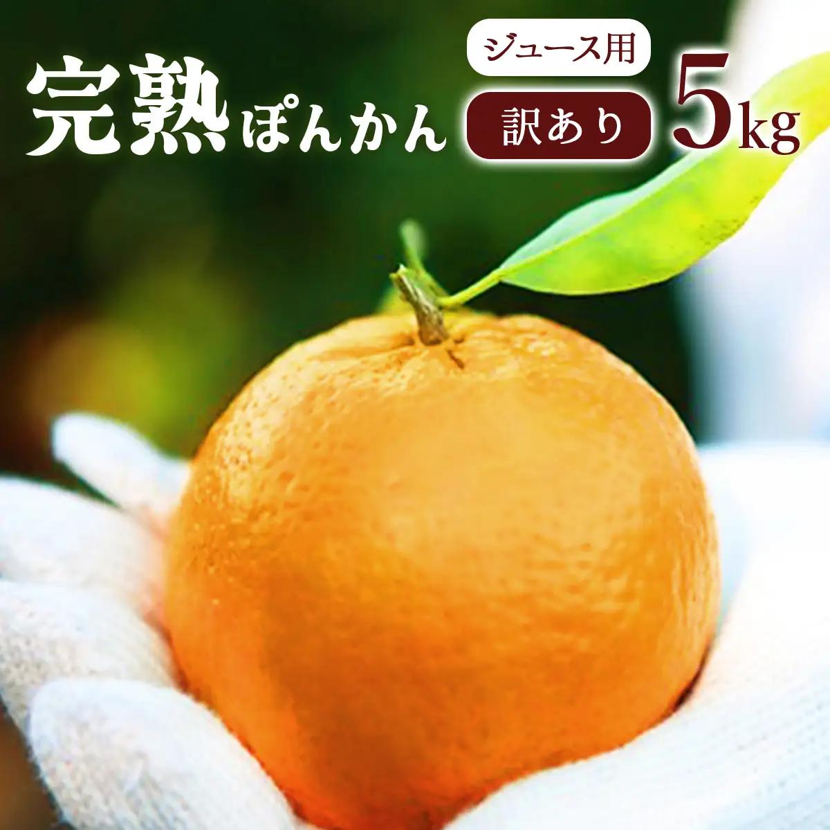 【先行予約】ジュース用訳ありぽんかん ＜5kg＞