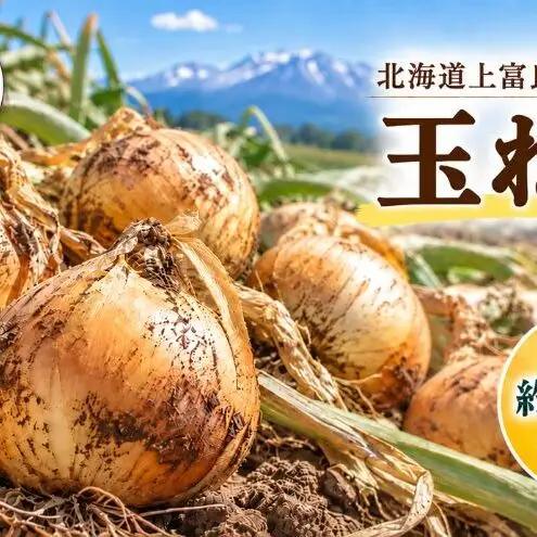 玉ねぎ 野菜 北海道産 玉ねぎ【約2kg M〜Lサイズ】