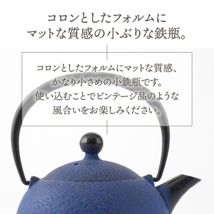 【6カ月以内発送予定】【ふるさと納税限定カラー】南部鉄器 鉄瓶 なごみ 0.6L 黒紺 伝統工芸品[Y0081]