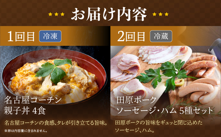 【定期便】ブランド豚・地鶏 定期便 全5回 田原ポーク 名古屋コーチン