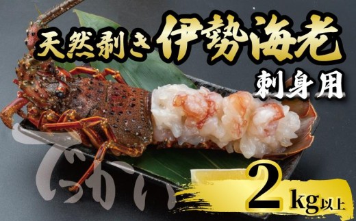 でっかい天然伊勢海老  刺身用 2kg以上 冷凍 ( 特大サイズ 急速冷凍 えび エビ 高級 鮮魚 海鮮 魚介 刺身 焼き物 汁物 ギフト 贈答 贈り物 祝い 歳暮 中元 年末 年始 早期 予約 ) IKY101