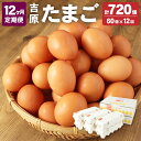 【ふるさと納税】 ＜12ヶ月定期便＞濃厚プレミアム 吉原たまご 2箱 30個×2箱 60個入り 12回 合計720個 卵 玉子 生卵 鶏卵 定期便 茨城県 神栖市 送料無料