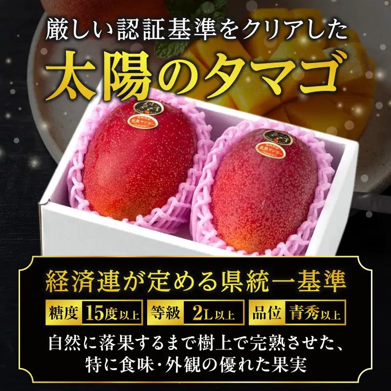 太陽のタマゴ マンゴー 太陽のタマゴ[2L 3玉 1.05~1.3kg]