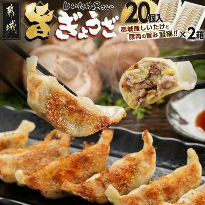 ふるさと納税 都城市 しいたけ屋さんの旨ぎょうざ