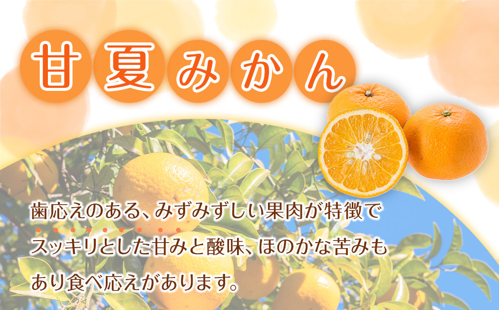 家庭用 森本農園の手選別 甘夏みかん 約8kg 和歌山県産 サイズ混合 ［北海道・沖縄・離島配送不可］［2026年4月上旬から順次発送］［RN71］