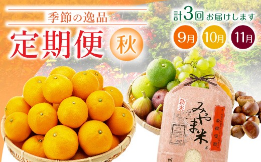 C3 【3回定期便】季節の逸品 秋 定期 旬 フルーツ 果実 くだもの 果物 新米 特産品