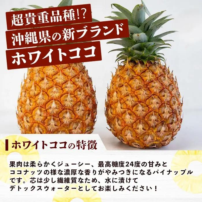 《2027年5月下旬以降順次発送》香りに溺れる。幻の白果 ホワイトココ 2玉（約2kg）