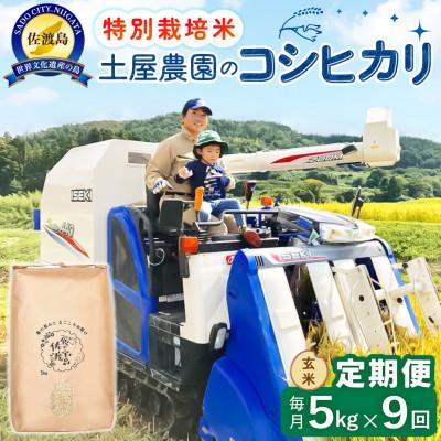 ふるさと納税 佐渡市 【毎月定期便】佐渡島産コシヒカリ 玄米5kg 土屋農園 農家直送 特別栽培米 　全9回