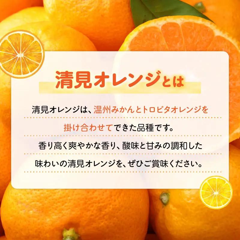 【2027年先行予約】和歌山県有田産 完熟 清見オレンジ 5kg ひとつひとつ丁寧に厳選！生産者から直送【清見 みかん オレンジ タンゴール きよみ 柑橘 和歌山 有田】_ZN6001n