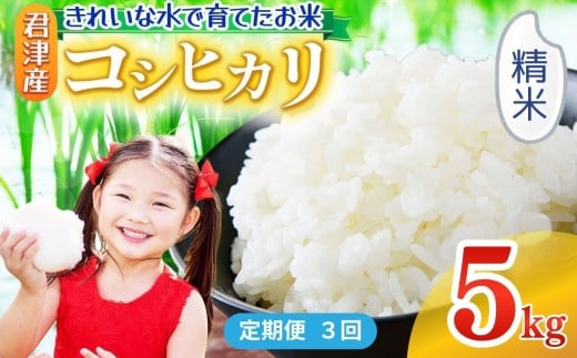 【 定期便 3回 】精米 令和7年産 コシヒカリ 5kg きれいな水で育てたお米 | 保坂農場 白米 ご飯 おにぎり 名水 おいしい水 ちばエコ農産物 君津市産 イチオシ 千葉 君津市 きみつ 房総