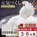【ふるさと納税】【令和6年産新米】＜お届け回数が選べる＞【定期便】元気つくし無洗米 真空パック3kg (300g(2合)×10袋）3回・6回 | 無洗米 精米 米 お米 小分け 包装 元気つくし ごはん ご飯 おにぎり お弁当 真空 備蓄米 筑前町産 おすすめ 楽天ふるさと納税 送料無料