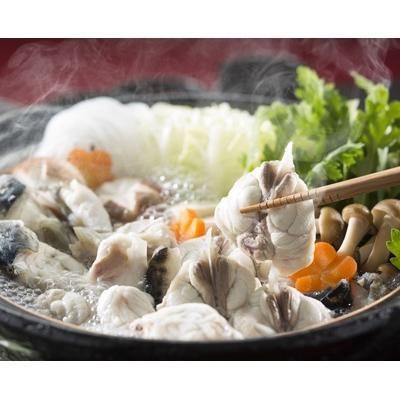 ふるさと納税 北九州市 【-60度　急速冷凍】とらふぐ三昧セット(刺身・鍋4〜5人前)FI30-S48 |  | 03