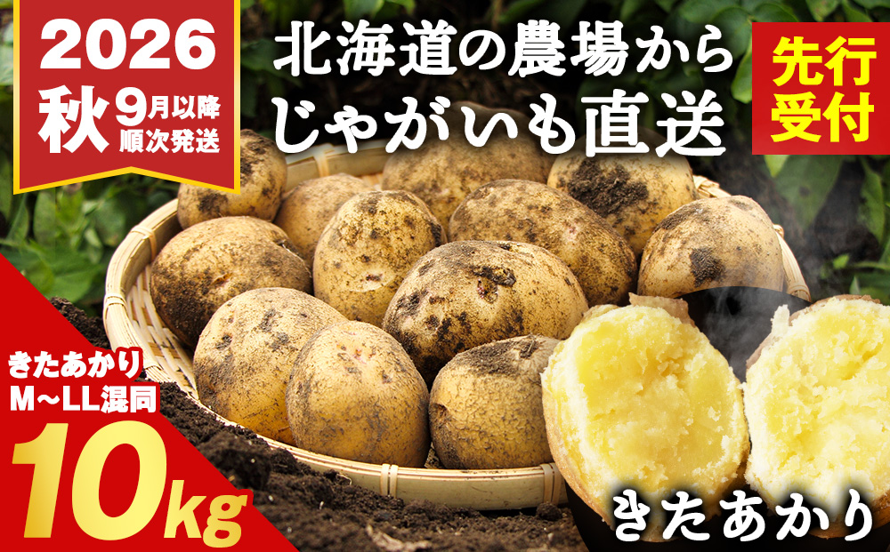 【2026年 秋 発送】じゃがいも 10kg 北海道 きたあかり ジャガイモ 芋 いも