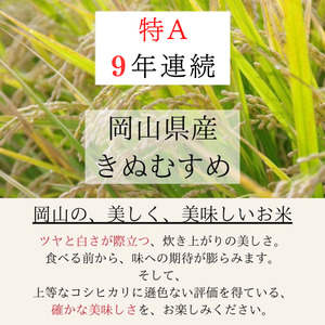 令和7年産 お米 3kg×1袋 きぬむすめ 特A 精米 白米 ライス 単一原料米 検査米 岡山県 ご飯 主食