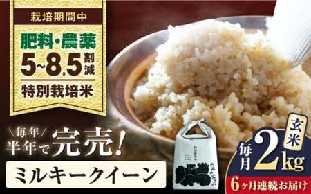 【先行予約/令和7年産新米】【全6回】特別栽培米ミルキークイーン　2kg玄米×6回[AQCP023] 玄米 玄米 玄米 玄米 玄米