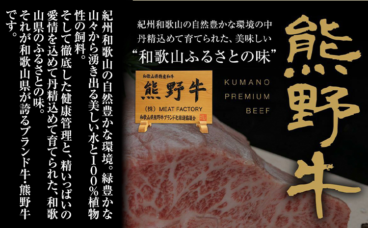 牛肉 熊野牛 肩ロース すき焼き しゃぶしゃぶ 300g 株式会社Meat Factory《30日以内に出荷予定(土日祝除く)》和歌山県 日高川町 熊野牛 牛 和牛 焼肉 ロース カタ すき焼き用 し