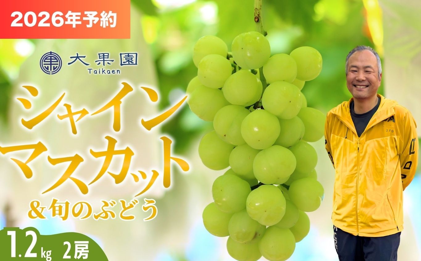
                  【2026年予約】シャインマスカット 旬のぶどう 竹原葡萄 詰め合わせ 約1.2kg（2房） 古田大果園 フルーツ 果物 広島県産　【 減農薬 食感 食べ比べ ピオーネ 安芸クイーン 瀬戸ジャイアンツ 】　※2026年9月上旬～9月下旬頃に順次発送予定
                