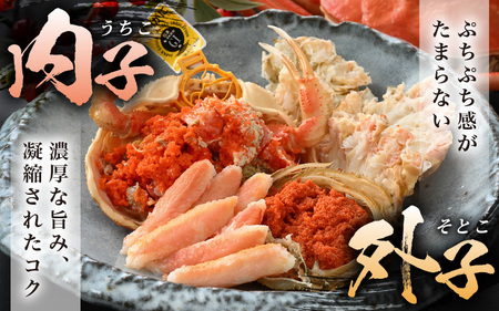 【先行予約】【冷蔵】旬のセイコガニ 小 6杯  計600g以上（茹で前）【2025年11月上旬以降順次発送予定】説明書付き 食べ切数量！全て地物！天然！ ズワイガニメス[m21-x003_11]
