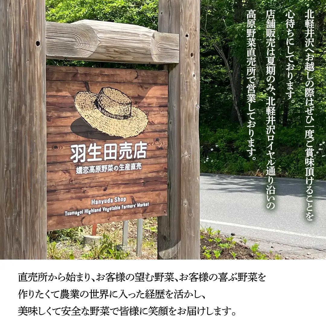 【ふるなびWEEK対象】【8月上旬発送開始】 甘～いトウモロコシ 恵味 5kg 約10～12本 [AL005tu]