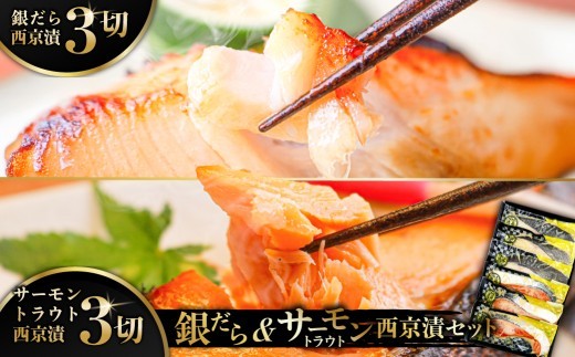 銀だら＆サーモントラウト西京漬セット 【 銀だら サーモン トラウト 西京漬け 西京味噌漬け 切身 豊洲市場 おかず 】