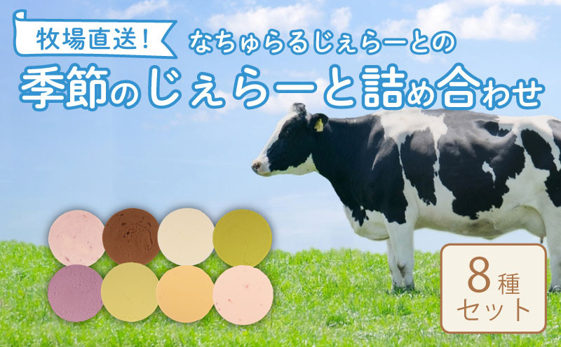 
            なかの牧場なちゅらるじぇらーとセット ８個入  【 ミルク チョコ ブルーベリー チーズ ピスタチオ 塩 キャラメル アイス ジェラート セット 季節 てづくり なちゅらるじぇらーと なかの牧場 8個 父の日 F04_01 】
          
