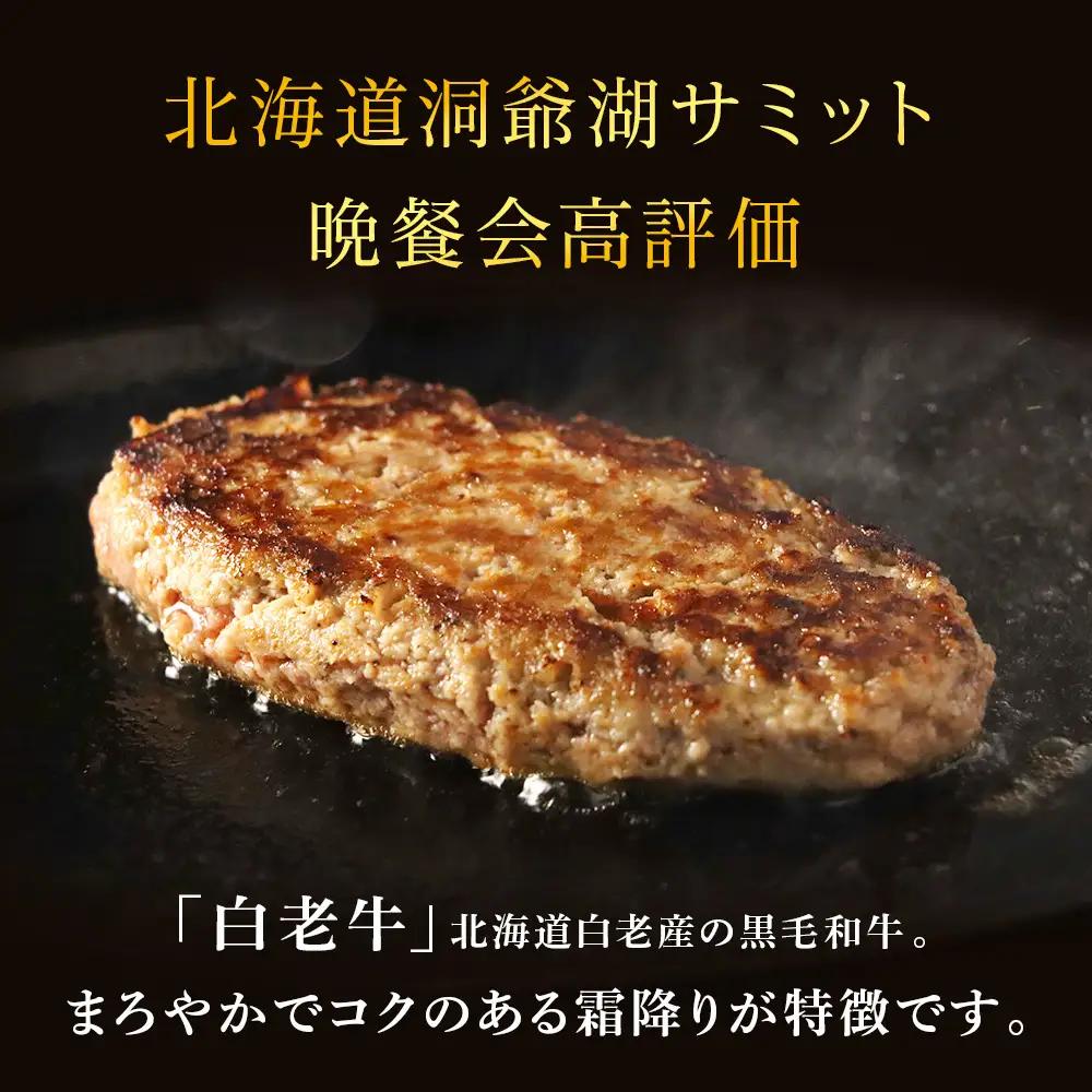 【5営業日以内発送】牛の里ビーフハンバーグ（110g×20個）特製ソース（20袋）の詰合せ AG059