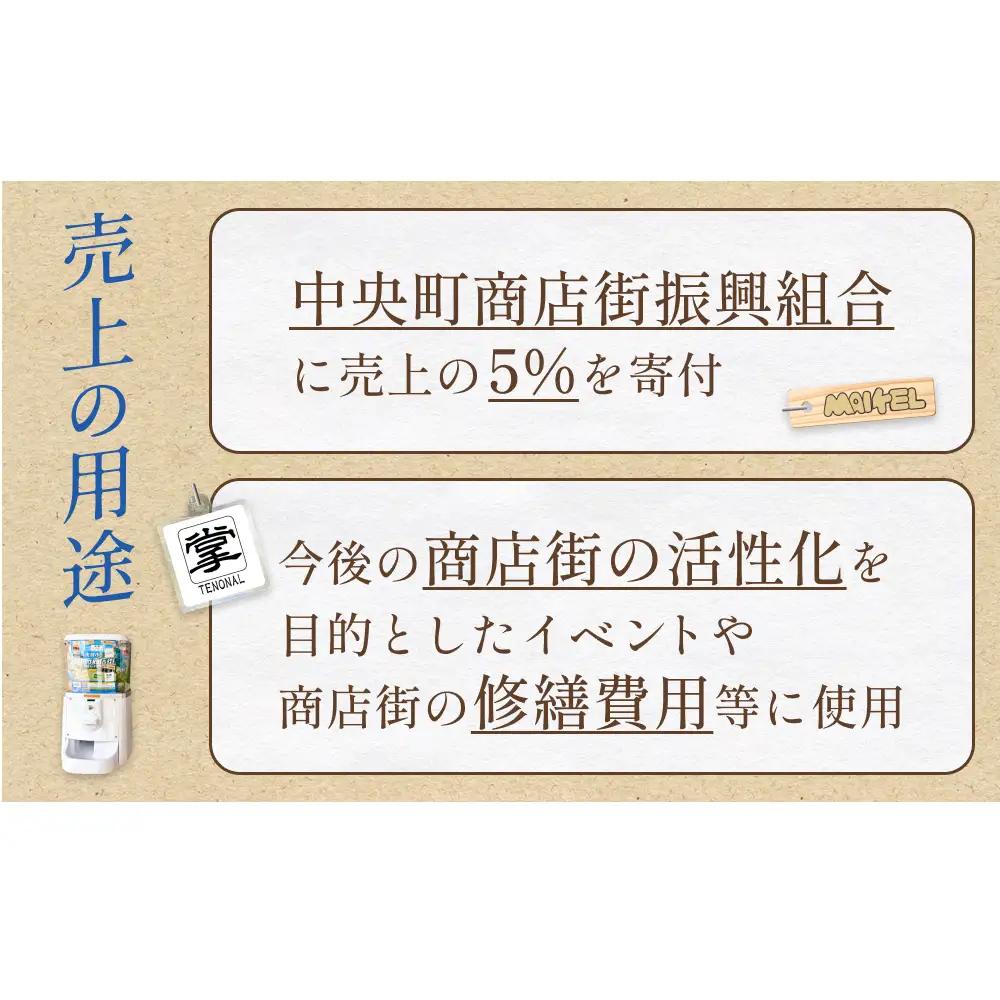 氷見市中央町商店街看板キーホルダーガチャ ［ 10個セット ］ キーホルダー ストラップ ガチャガチャ トレーディング 看板 富山県 氷見市 レトロ