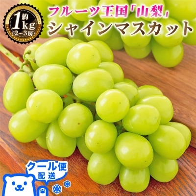 2027年発送 先行予約　山梨県産 シャインマスカット 約1kg(2～3房) 厳選果物【配送不可地域：離島・沖縄県】