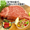 【ふるさと納税】【全7回】お肉わくわく定期便2