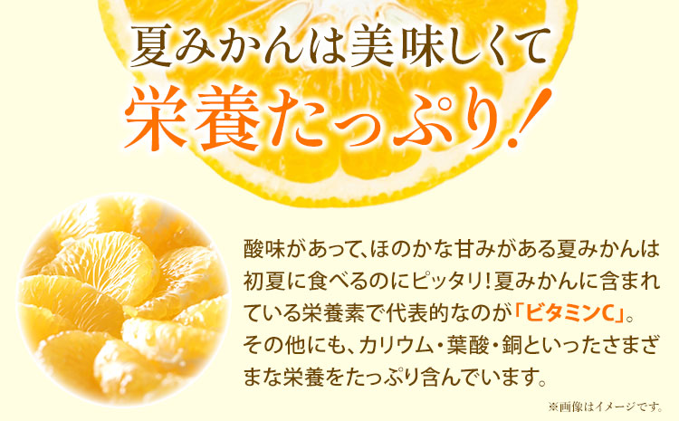 【先行予約】夏みかん 約7.2kg 株式会社魚鶴商店《2027年4月中旬-4月下旬頃出荷》 和歌山県 日高町 みかん 夏みかん 柑橘