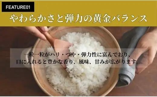 令和7年産 会津産コシヒカリ 米でいいの田゛玄米 5kg｜令和7年 2025年 会津産 米 お米 こめ コメ 玄米 こしひかり