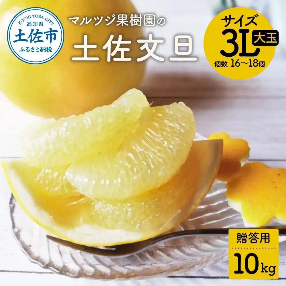 【先行予約】土佐文旦 贈答用 大玉（3Lサイズ） 約10kg（16?18個） 高知県土佐市 【マルツジ果樹園】 [BQAN004]