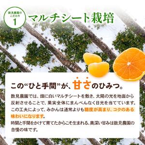 和歌山県産 ゆら早生みかん サイズおまかせ9kg  農家直送【2025年10月中旬頃より順次発送予定】