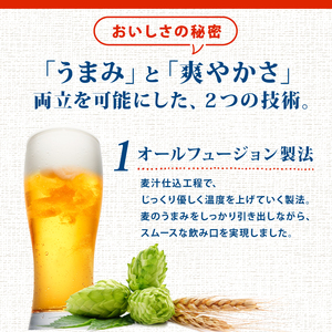 サッポロ ビール【新潟限定ビイル】 風味爽快ニシテ（サッポロ） 500ml 24本  shinbo006_01