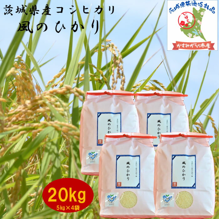 【ふるさと納税】 令和7年度産 コシヒカリ 風のひかり 20kg 5kg×4袋 農家直送 出荷日精米 茨城県産 茨城県共通返礼品 かすみがうら市産 米 お米 白米 こめ 精米 取り寄せ 特産 ごはん ご飯 コメ お取り寄せ ギフト 贈り物 弁当 おにぎり ふっくら 甘い 産地直送 国産