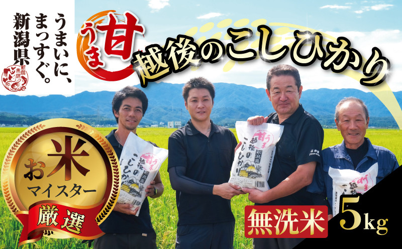 
            【令和6年産】 無洗米 コシヒカリ 5kg 甘うま越後のこしひかり 越後 えちご  特別栽培米 新潟 コメ こめ お米 米 しんまい 新潟県 新潟米 新発田市 新発田産 斗伸
          