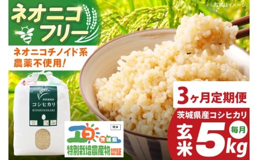 【3ヶ月定期便】令和7年産 茨城県特別栽培米コシヒカリ ネオニコフリー玄米5㎏｜米 おこめ こしひかり 農家直送 直送 茨城県 阿見町（04-31）
