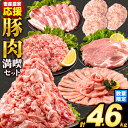 【ふるさと納税】数量限定★生産者応援★ うまか ポーク バラエティ セット 豚肉 しゃぶしゃぶ 切り落とし 豚ロース バラ 豚バラ スライス 4.6kg 4600g 4kg 以上 定期便 真空 お楽しみセット 不揃い 数量限定 簡易包装 冷凍配送 小分け 《出荷時期をお選びください》