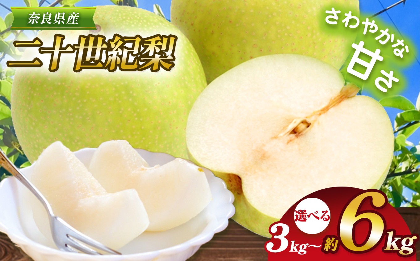 
                  【先行予約】【選べる】二十世紀梨《約3kg or 約4kg or 約6kg 》 | フルーツ 果物 くだもの 梨 なし 二十世紀 産地直送 果汁たっぷり ジューシー 減農薬栽培 真田園 奈良県 大淀町 メディアで紹介
                